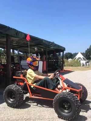 Снег и песок 1000 Вт Водяной привод Go Kart Aotong Мотор Электрический гольф-бугги