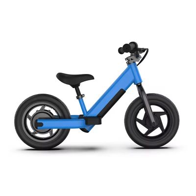 2024 AOTONG MOTOR Электрический 2-колесный сбалансированный скутер с дисковым тормозом и 16-дюймовым колесом