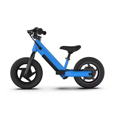 2024 AOTONG MOTOR Электрический 2-колесный сбалансированный скутер с дисковым тормозом и 16-дюймовым колесом