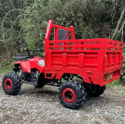 Сельскохозяйственный легковой автомобиль Aotong 125cc/150cc с прицепом и грузовым ящиком 2WD 4WD Off Road ATV Напряжение 12V