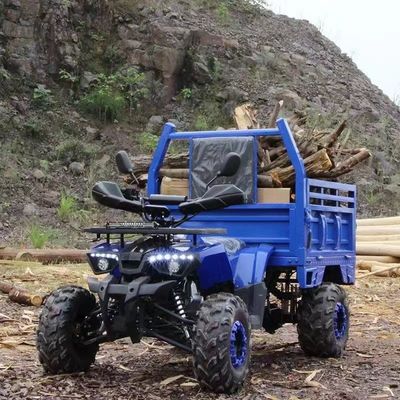 Сельскохозяйственный легковой автомобиль Aotong 125cc/150cc с прицепом и грузовым ящиком 2WD 4WD Off Road ATV Напряжение 12V