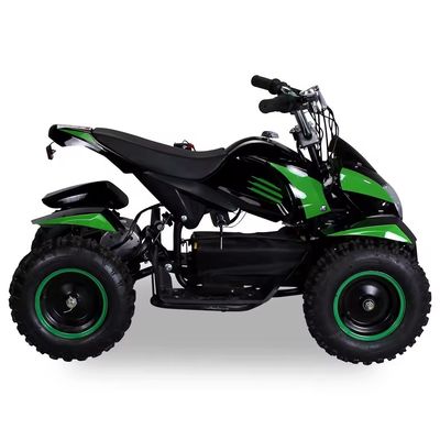 800w 1000w Мотоцикл 36v мини пляжный бугги квадроцикл 500w электрический квадроцикл для детей