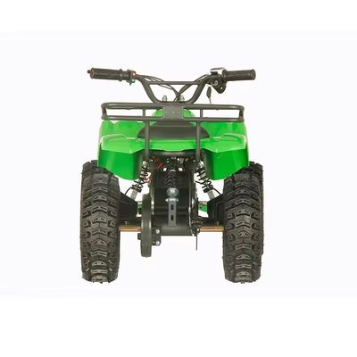 Электрический квадрицикл Aotong 1000w48V20Ah с 2WD Тип вождения и 5-7h время зарядки