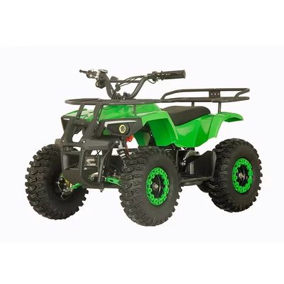 Электрический квадрицикл Aotong 1000w48V20Ah с 2WD Тип вождения и 5-7h время зарядки