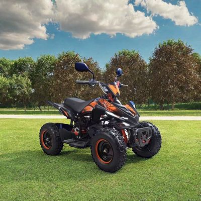 Детский 50cc 4 Wheeler Quad ATV с сертификацией CE и мини-мотоцикл на четырех колесах 49cc