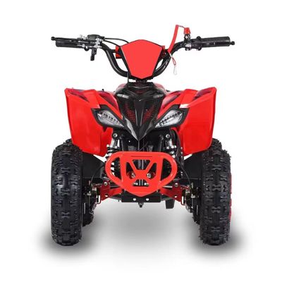 Вождение Тип 2WD 2024 49cc 50cc 2 Stroke Mini Quad велосипед на бензине ATV для детей с CE