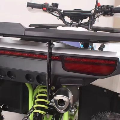 8 дюймовая шина бензиновый 125cc ATV индивидуальные цвета и передний диск Задний дисковый тормозная система