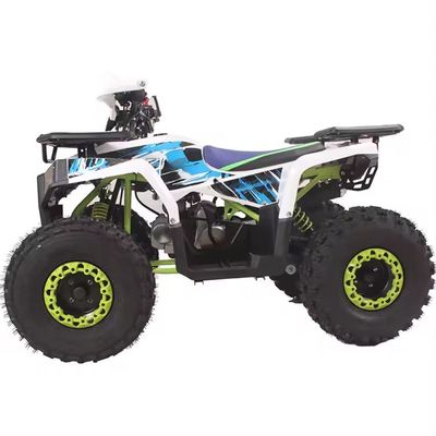 110cc 125cc Quad Bike 4 Wheeler Adventure ATV 4x2 Вождение для взрослых Легко маневрировать
