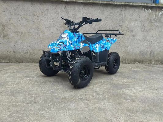 70CC/110CC Автоматический Quad Fun игрушка ATV Buggy для подростков с 1 цилиндром и доступным