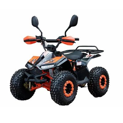 110cc 125cc квадроцикл для взрослых с одобрением CE и минимальным большим пробелом 100-150 мм