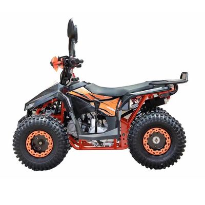 110cc 125cc квадроцикл для взрослых с одобрением CE и минимальным большим пробелом 100-150 мм
