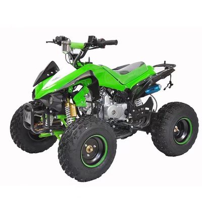110cc 125cc 4-тактный цепный привод Четырехколесный квадроцикл с 145/70-6 Размер шины и CE
