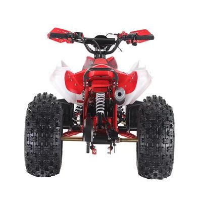 110cc 125cc 4-тактный цепный привод Четырехколесный квадроцикл с 145/70-6 Размер шины и CE