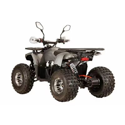 Опыт Ultimate Off-Road езды с 1000W электрический ATV валового привода квадрицикл