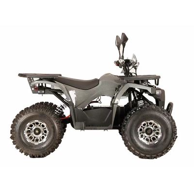Опыт Ultimate Off-Road езды с 1000W электрический ATV валового привода квадрицикл