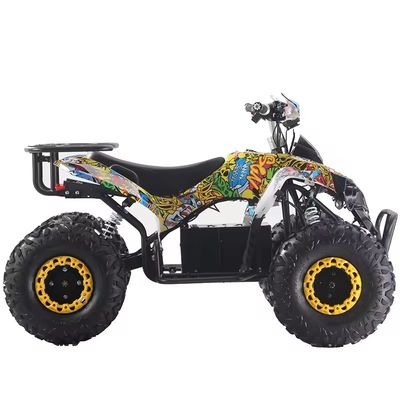 Настраиваемые цвета 1000W/1500W ATV Quads с Ft Disc Rr Disc Brake
