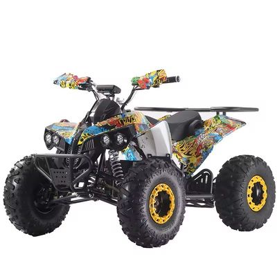 Настраиваемые цвета 1000W/1500W ATV Quads с Ft Disc Rr Disc Brake