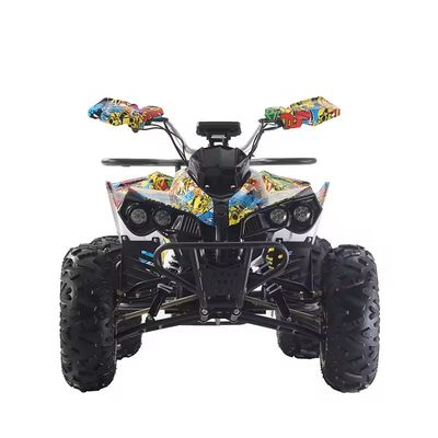 Настраиваемые цвета 1000W/1500W ATV Quads с Ft Disc Rr Disc Brake