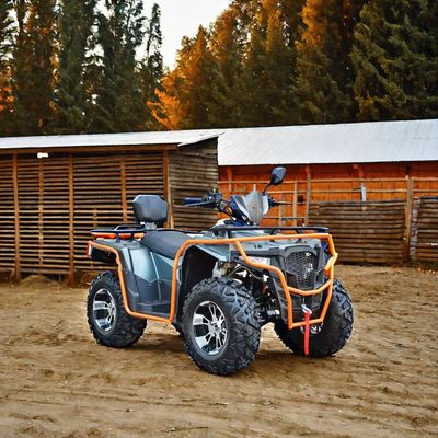 Кастомизированные цвета 2024 Farm Quads 300cc 4x4 Большой мощности Утилитарный квадрокоптер с возможностью класса