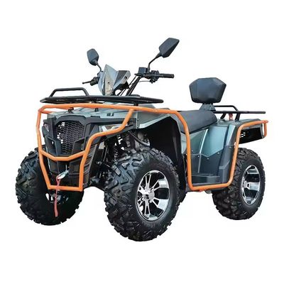 Кастомизированные цвета 2024 Farm Quads 300cc 4x4 Большой мощности Утилитарный квадрокоптер с возможностью класса