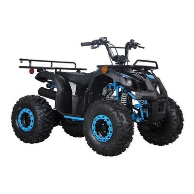 CE сертифицированный 110cc 125cc Big Power Farm Quad Bike для детских приключений на открытом воздухе