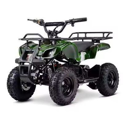 Электрический ATV 500W 800W 4-колесный квадроцикл для детей