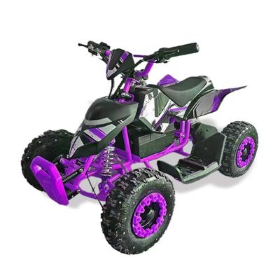 Мини-мотоцикл с четырьмя колесами мощностью 800 Вт с сертификацией Ce Kids Electric 4 Wheeler Quad Atv Easy