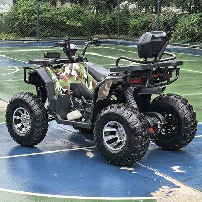 250cc Четырехколесный пляжный бугги с цепным приводом Двойной Четырехколесный горный квадримото 4х4