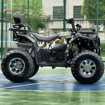 Отпустите своего внутреннего авантюриста 250cc автоматический цепной приводом ATV для внедорожника
