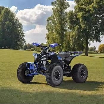 Максимальная скорость ≤ 50 км/ч 1500 Вт Четырехколесный квадроколесный автомобиль для взрослых с колесной базой 600-1000 мм