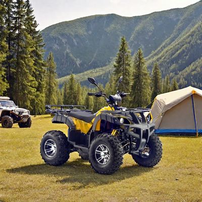 Многофункциональный 60V 72V электрический квадроцикл ATV сельскохозяйственный транспортный средства Buggy 1800-2200mm колесная база