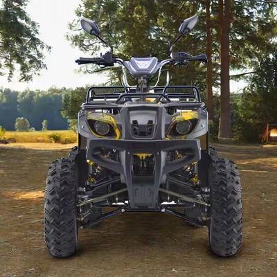 Мощный 3000W 1500W 4WD 4x4 Moto ATV UTV 1000cc Quad ATV с колесной базой 1800-2200 мм