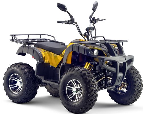 Мощный 3000W 1500W 4WD 4x4 Moto ATV UTV 1000cc Quad ATV с колесной базой 1800-2200 мм