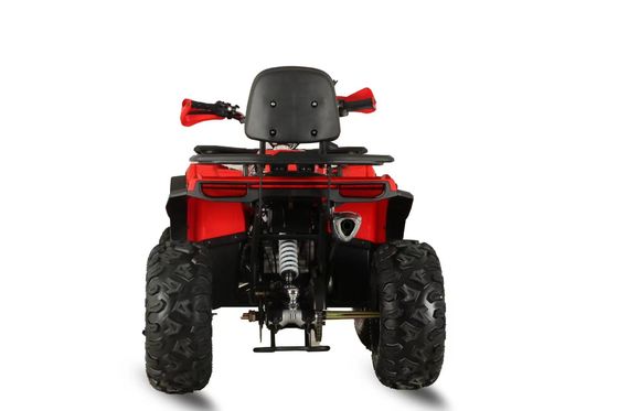 200cc бензиновые квадроциклы Квадроциклы Дальний диапазон 4-колесный мотоцикл с колесной базой 600-1000 мм