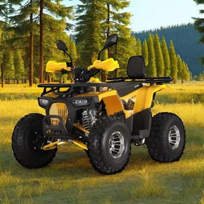 125cc Farm Quads ATV для взрослых мощный газовый / дизельный двигатель и цепный привод