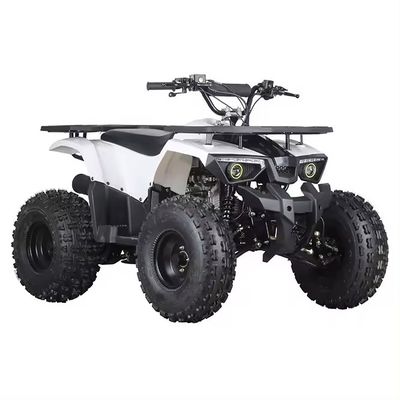 Автоматическая коробка передач типа Aotong Мотор 110cc 125cc 150cc Cuatrimoto ATV для взрослых