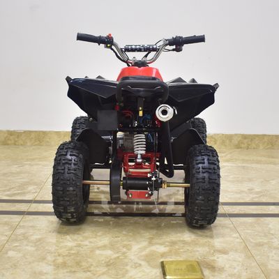 1 цилиндровый ДВС 49CC с не оборудованным дифференциальным замком