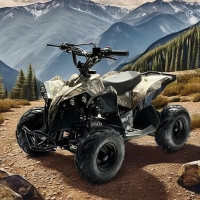 Газовое топливо 110CC ATV с цепным приводом