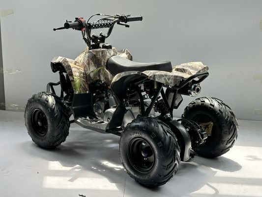 Газовое топливо 110CC ATV с цепным приводом
