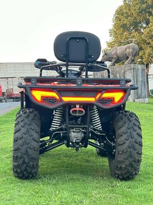 Прямой 300cc 350cc 4x4 ATV с силовой передачей и 25x8-12/25x10-12 шины