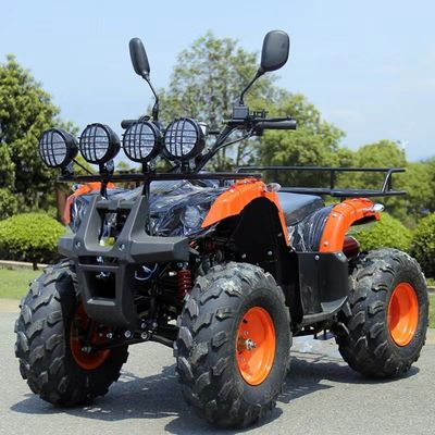 110cc 125cc ATV Доступный автоматический цепной привод с необорудованным дифференциальным замком