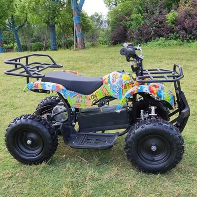 Система трансмиссии вала 500w Детские гоночные квадроциклы для детей 2WD Электрическая энергия