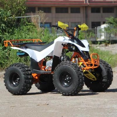 Детский экономичный 110cc автоматический цепный приводной квадроцикл с передним барабаном и задними дисковыми тормозами