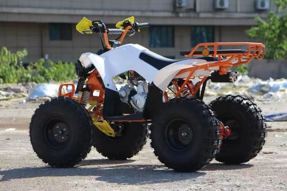 Детский экономичный 110cc автоматический цепный приводной квадроцикл с передним барабаном и задними дисковыми тормозами