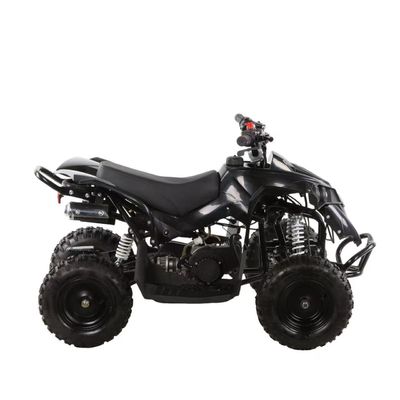 49cc Детский ATV 4 колеса Детский 4x4 Side by Side Mini ATV с цепной коробкой передач
