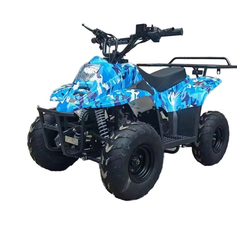 125cc всеполосатый пляжный бугги топливный газ 70cc/110cc автоматический квадрокоптер бугги для гонок подростков