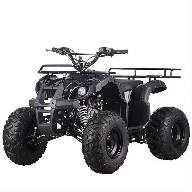 125cc 110cc Kids Atv Quad Mini Quad Мотоцикл для детей Обратный бюджет