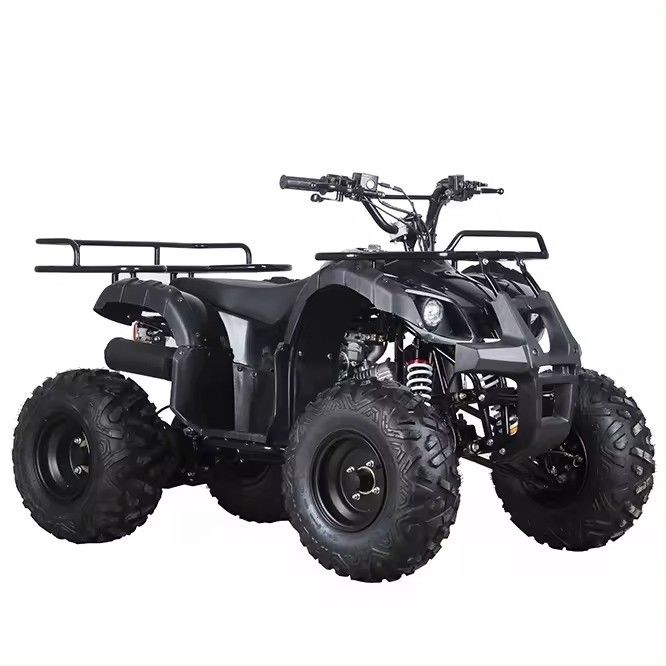 Движение на цепь 110cc/125cc 4-тактный всеуправляемый четырехколесный пляжный бугги бензиновый квадроцикл