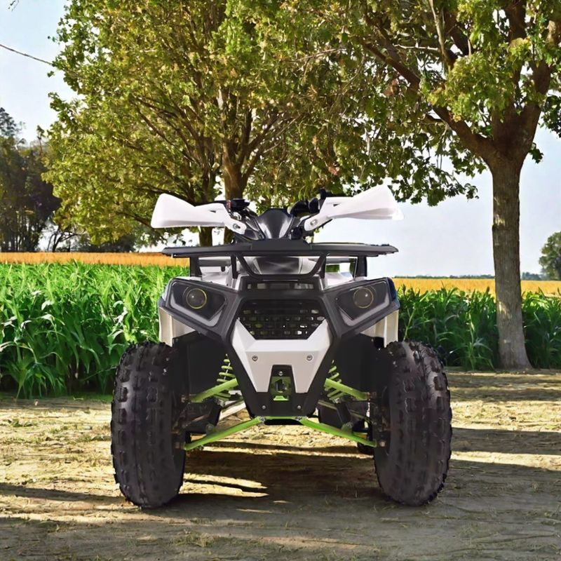125cc газовый утилитарный квадроцикл ATV с минимальным большим пробелом 100-150 мм