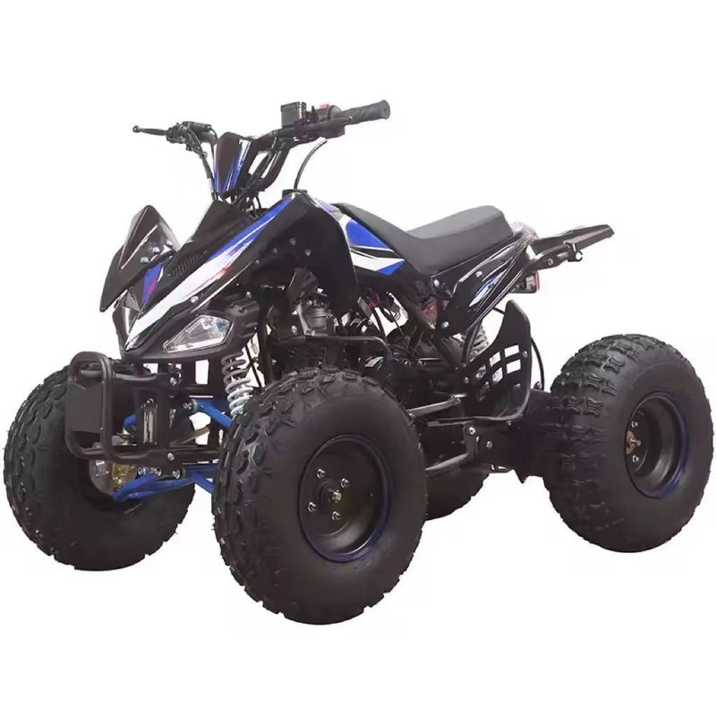 110cc 125cc 4-тактный цепный привод Четырехколесный квадроцикл с 145/70-6 Размер шины и CE